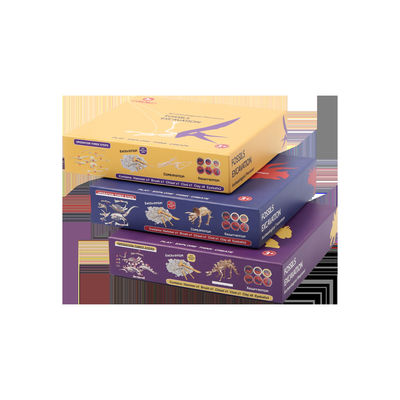 قیمت خوب جعبه ذخیره سازی بازی بسته بندی کاغذ مستطیل آنلاین